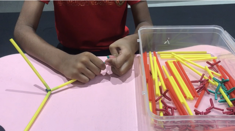 Fine Motor Skills